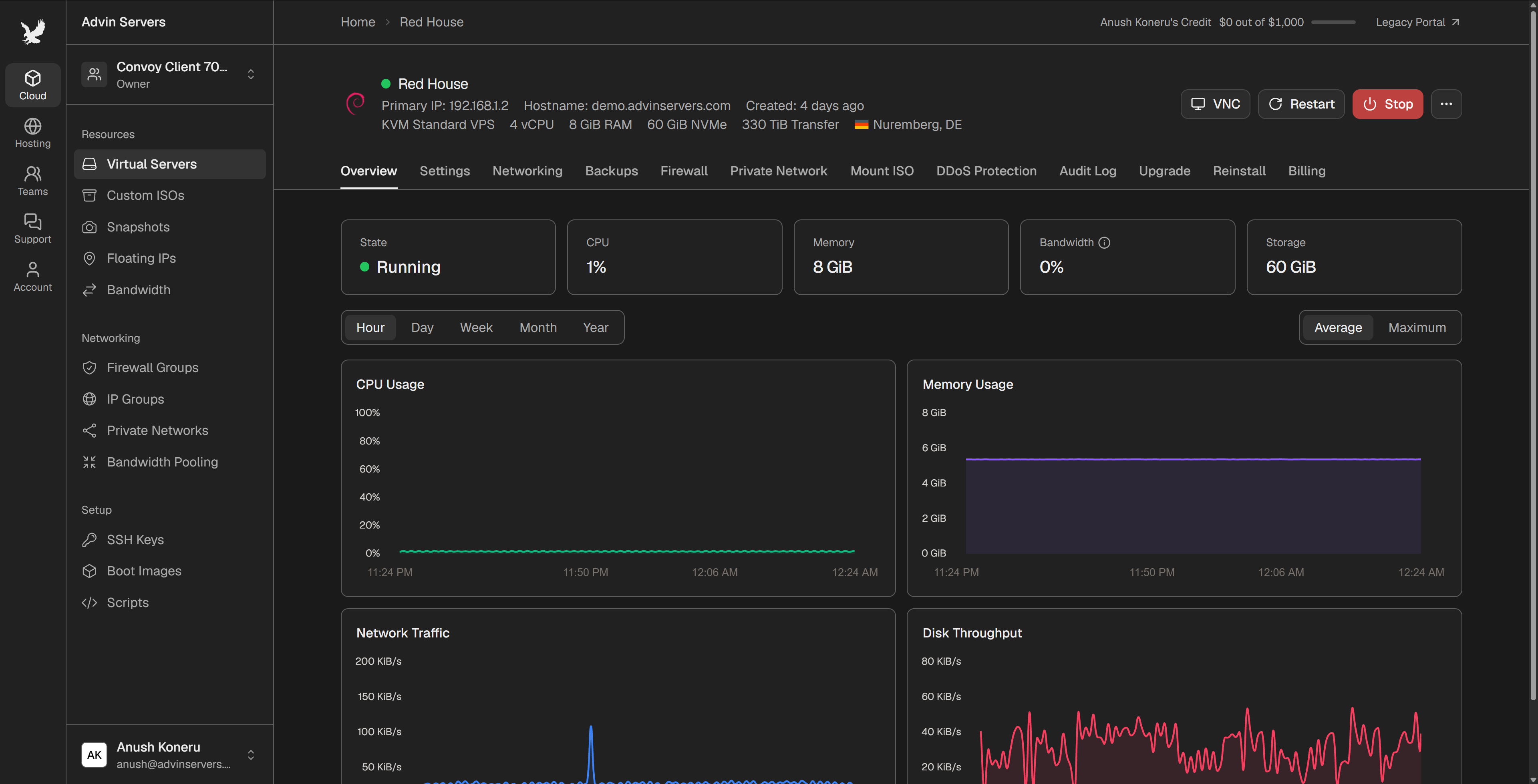 Server overview in the console, showing power controls and CPU, memory, network and disk usage